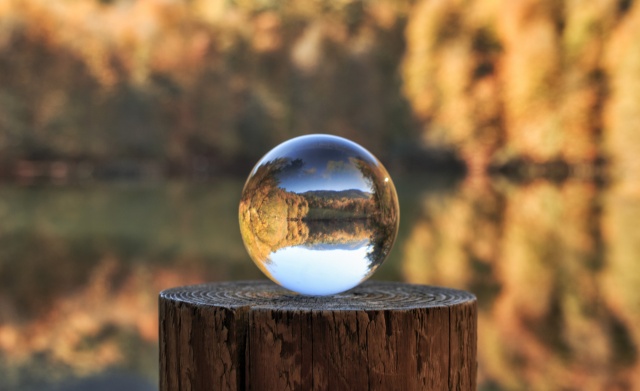 Nimet Çoban'dan Günün Kareleri..30