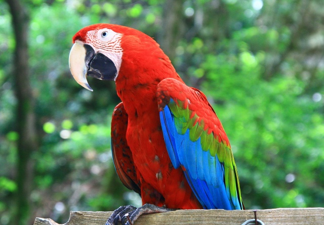 Nimet Çoban'dan Günün Kareleri..6