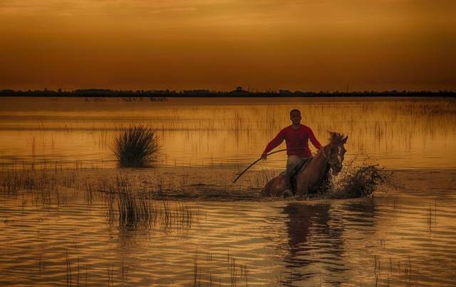 Nimet Çoban'dan günün kareleri - 37