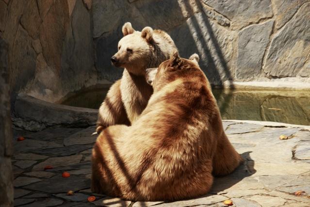 Nimet Çoban'dan günün kareleri - 20