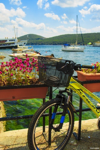 Nimet Çoban'dan Günün Kareleri..1