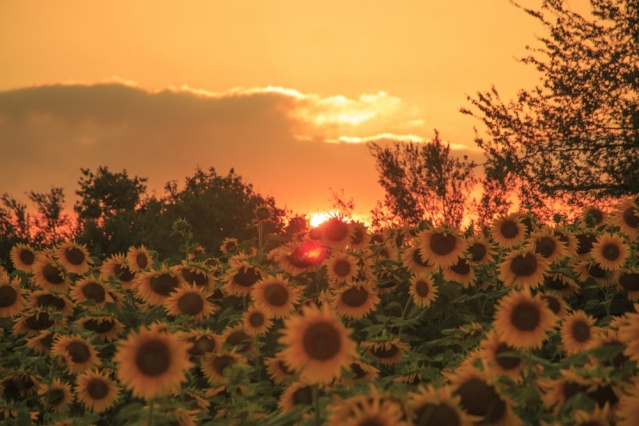 Nimet Çoban'dan Günün Kareleri..40