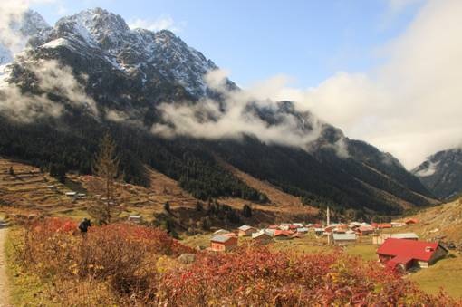 Nimet Çoban'dan Günün Kareleri..23
