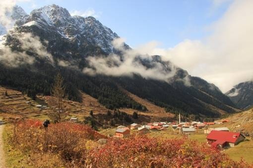Nimet Çoban'dan günün kareleri - 35