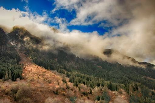 Nimet Çoban'dan Günün Kareleri..23