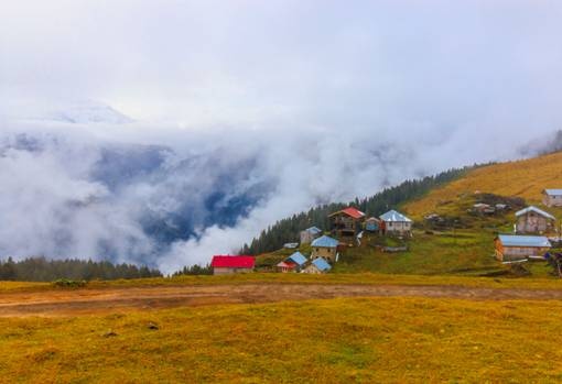 Nimet Çoban'dan Günün Kareleri..23
