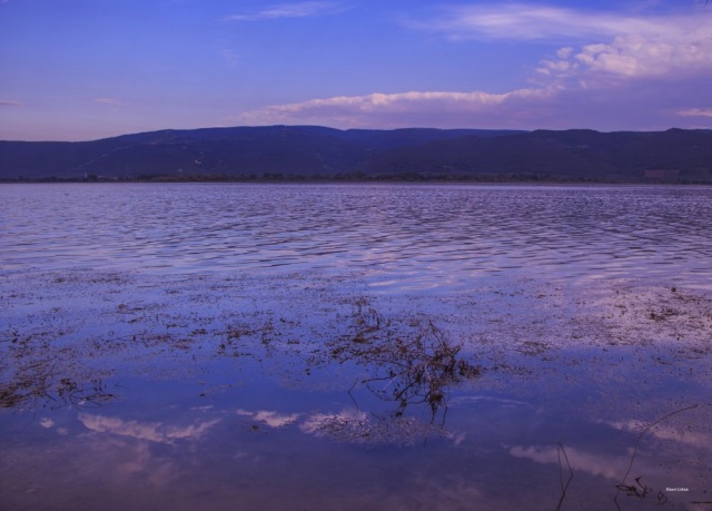 Nimet Çoban'dan Günün Kareleri..1