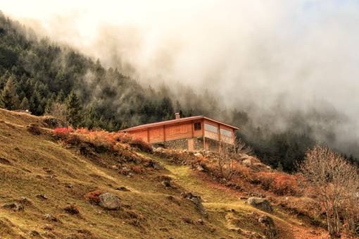 Nimet Çoban'dan Günün Kareleri..22