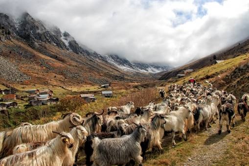 Nimet Çoban'dan Günün Kareleri..22