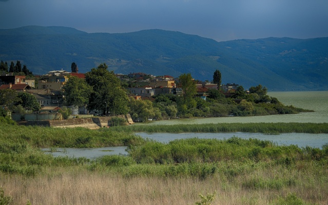 Nimet Çoban'dan günün kareleri - 18