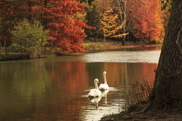Nimet Çoban'dan Günün Kareleri..11