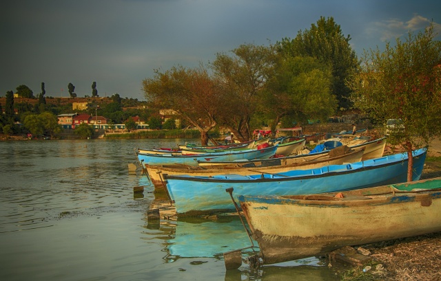 Nimet Çoban'dan günün kareleri - 18