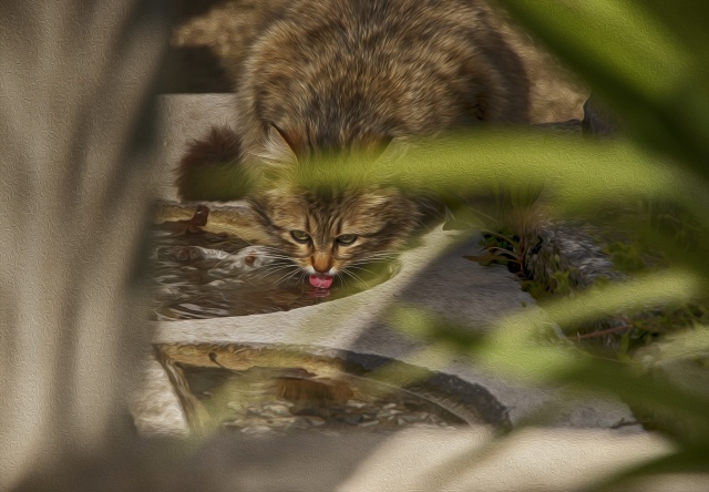 Nimet Çoban'dan günün kareleri - 20