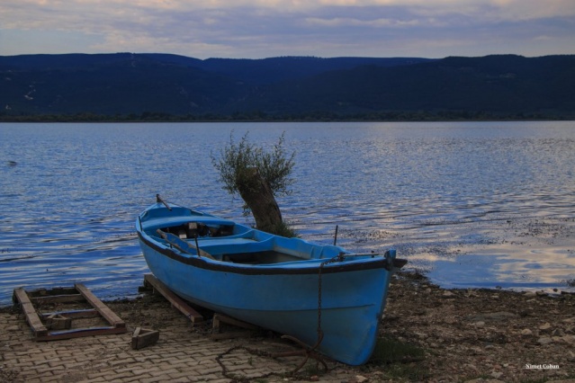 Nimet Çoban'dan Günün Kareleri..1