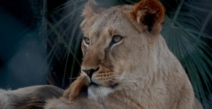 Nimet Çoban'dan Günün Kareleri..8