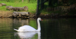 Nimet Çoban'dan Günün Kareleri..6