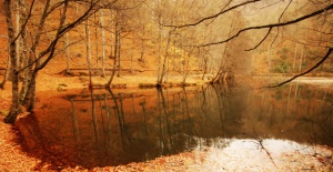 Nimet Çoban'dan Günün Kareleri..7