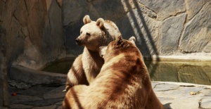 Nimet Çoban'dan günün kareleri - 20