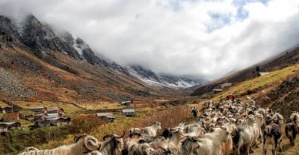 Nimet Çoban'dan Günün Kareleri..22