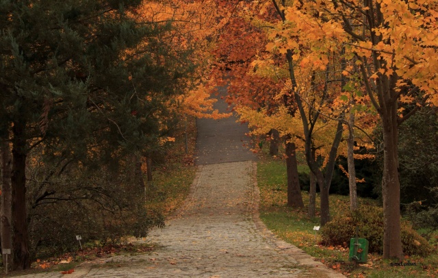 Nimet Çoban'dan Günün Kareleri..11