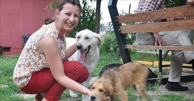 Susuz kalan sokak hayvanları için çağrı