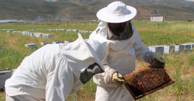 Yenişehir’de arıcılık gelişiyor