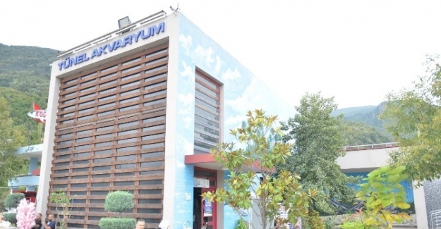 Cazibe Merkezi’ndeki akvaryuma büyük ilgi