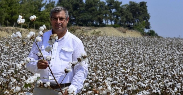 Çiftçiler pamukta daha fazla destek istiyor