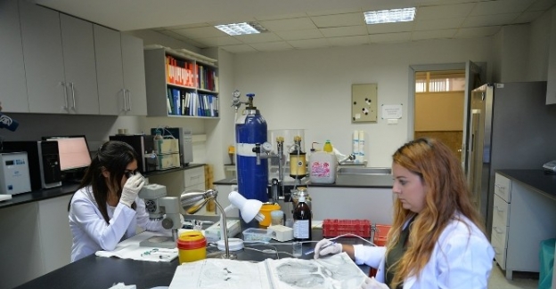 Uludağ Üniversitesi, depresyonu yenen molekül buldu