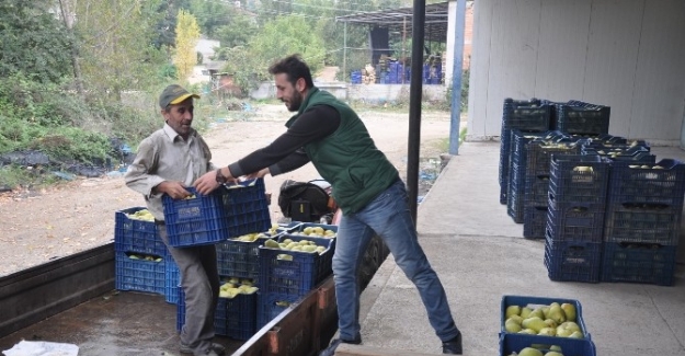Armut üreticisi fiyattan yakınıyor