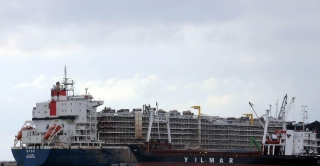 Brezilya’dan canlı hayvan ithalatı