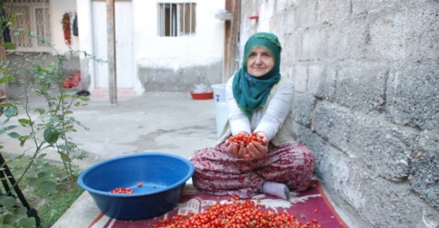 C vitamini deposu kuşburnunun lezzet yolculuğu