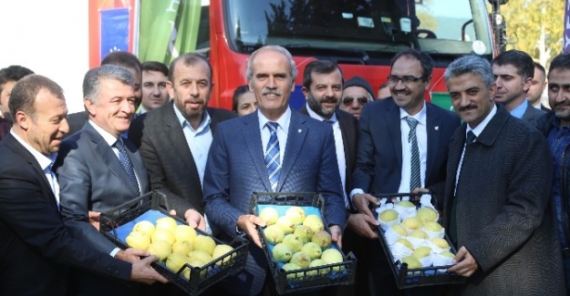 Bursa’dan Hollanda’ya armut ve ayva ihracatı başladı