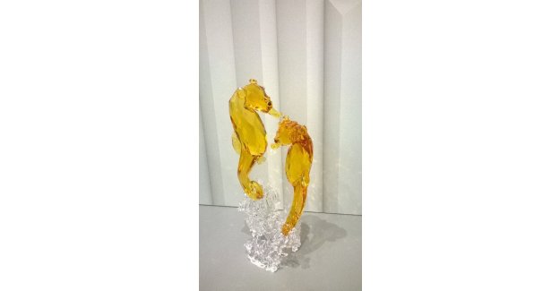 Tuğçe'nin gözünden "Denizatı"