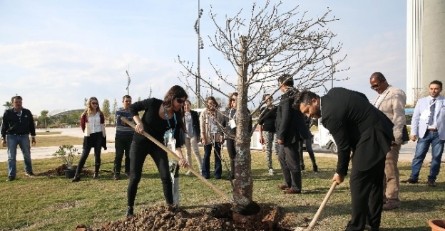 Zimbabve, Afkira’nın sembolü ‘Baobab Ağacı’nı EXPO 2016’ya hediye etti