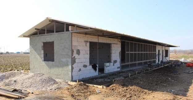 Burası da ‘Güvercin oteli’