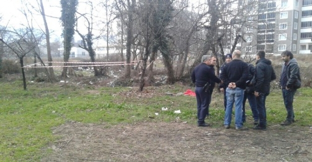 Bursa’da bonzai kabusu: 1 günde 4 can