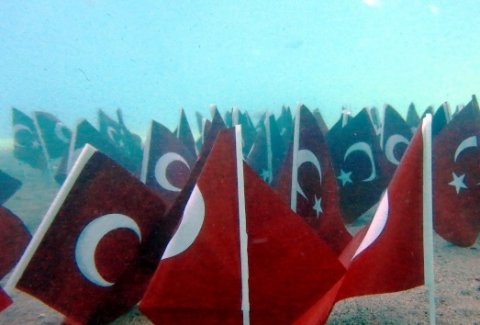 Hollanda Devletini PROTESTO Ediyoruz !