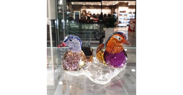 Tuğçe’nin gözünden “ördek”  