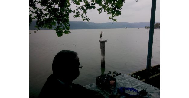 Leylek havada mı ?  karada mı ?  yoksa gölde mi ?