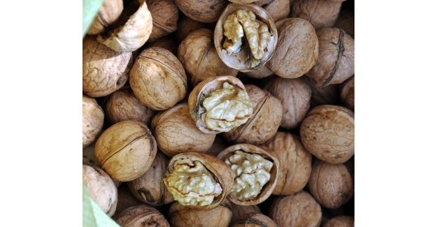 5 Tane ceviz yeyin ! 4 Saat bekleyin sonra da..