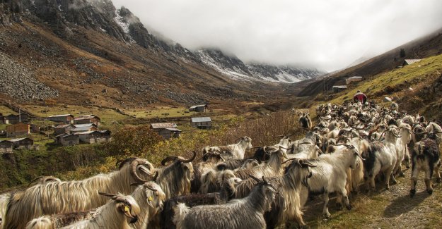BURSA ARENA Fotoğraf Sanatçısı Nimet Çoban'a DKKB'den anlamlı ödül..
