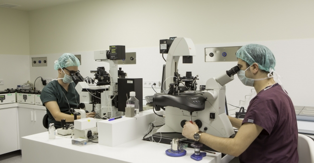 Tüp bebek laboratuvarlarında hangi işlemler yapılıyor?