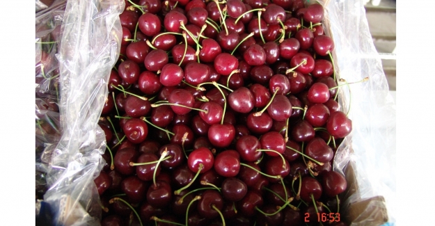 Taze kiraz ve üzüm ihracatçıları bir proje ile 5 büyük kazanım sağladı