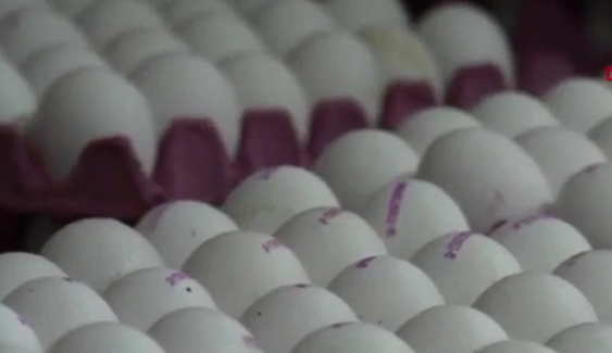 "Gezen tavuk" deyip 10 kuruşluk yumurtayı 1 liraya satıyorlar!