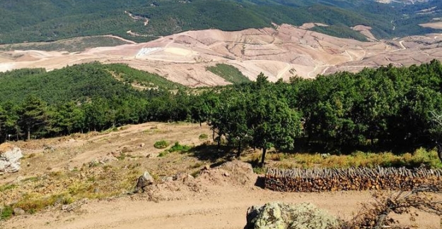 Beş soruda Kaz Dağları’nda siyanür kullanımı