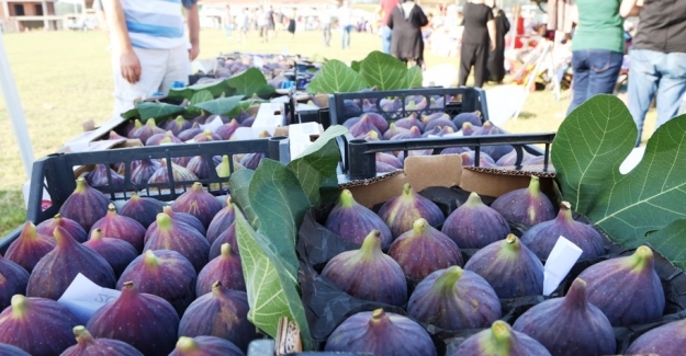 “Bursa siyahı” Akçalar İncir Festivalinde görücüye çıktı