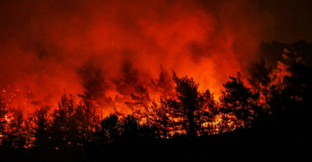 İzmir Yangını kontrol altına alındı