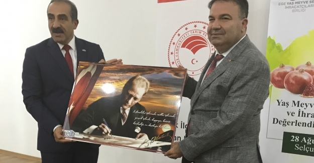 Narenciye ihracatında beklenti 900 Milyon Dolar