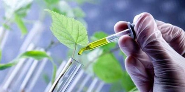 Dünya'da hakim ilaç hegemonyası kırılıyor mu? "İran’ın biyolojik ilaçları yabancılara şifa oluyor"